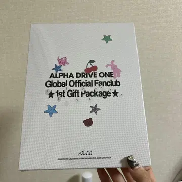 미개봉 새상품 ALPHA DRIVE ONE FC 키트