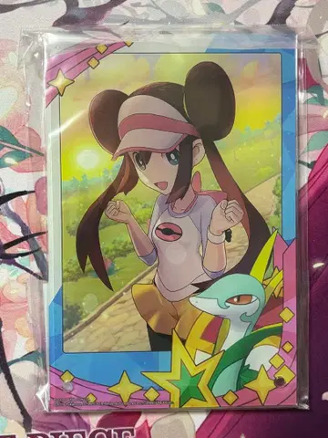 포켓몬 마스터즈EX 패널 메이