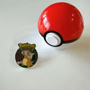 포케파크 관동 핀 배지 고라파덕