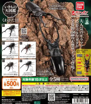 [ 전 5종 ] 생물대도감 장수풍뎅이 11 가챠가챠 컴플리트 상품