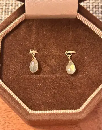 아가트 래브라도 라이트 참 agete 부속물 없음