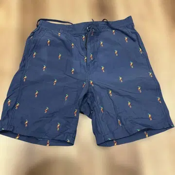 XLARGE 네이비 야자수 패턴 수상 레저 숏팬츠