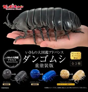 생물대도감 어드밴스 공벌레 중도장판 온라인 전종 세트