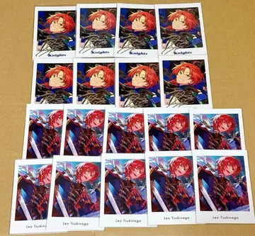 앙스타 파샤츠 레오 세트