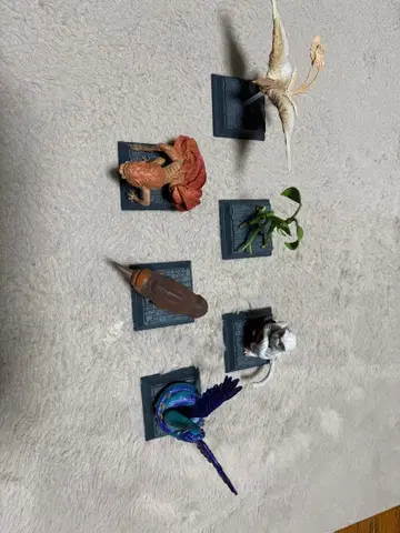 판타스틱 비스트 비스트 컬렉션 피규어 묶음 판매