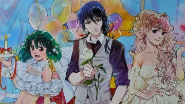 [ 미개봉 ] 마크로스 F 셰릴 랑카 알토 아트 카드