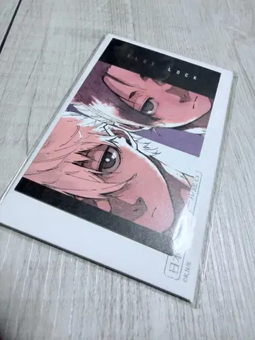 블루 록 나기 세이시로 & 미카게 레오 미니 카드 세트