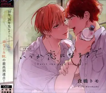 피프스 애비뉴 쿠라하시 토모 언젠가 사랑이 될 때까지