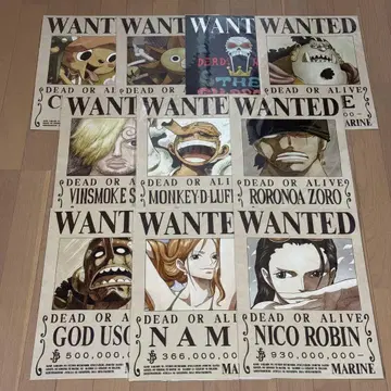 원피스 해군 발행 공식 수배서 밀짚모자 일당 10명