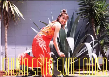 성우 CD 사이토 슈카 SUNFLOWER 초회 생산 한정판 B