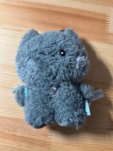 Zerobaseone 제베원 메시지 운니니 키링 백팩