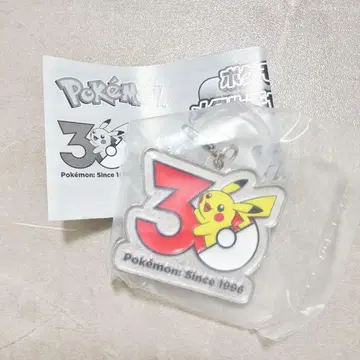 포켓몬 30주년 메탈 참 피카츄 메지루시