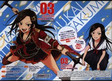 애니메이션 CD WILD WIND GIRL 특장판 오리지널 CD 3