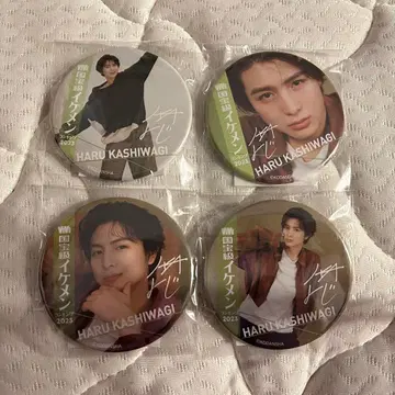 초특급 카시와기 하루 국보급 미남 캔뱃지