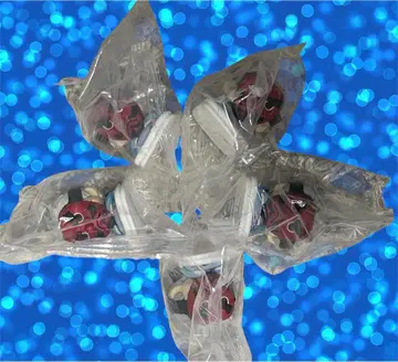 우로코다키 씨 파라다이스 귀멸의 칼날 가챠