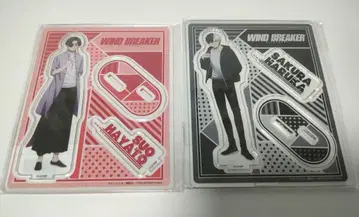 WIND BREAKER 사쿠라 하루카 스오 하야토 아크릴 스탠드