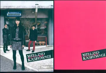 드라마 DVD 미엘리노 카시와기 DVD-BOX