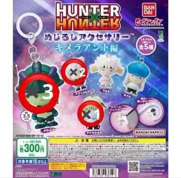 HUNTER x HUNTER 키메라 앤트 메지루시 액세서리