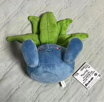 포켓몬 다정한 마음 봉제 인형 나조노쿠사