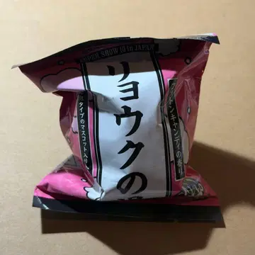 려욱 회장 랜덤 토이 슈퍼주니어 SUPER JUNIOR 3