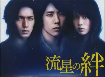 일본 국내 드라마 DVD 보통) 유성우의 인연 DVD-BOX