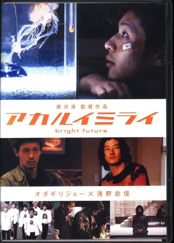 일본 국내 영화 DVD 아카루이 미라이
