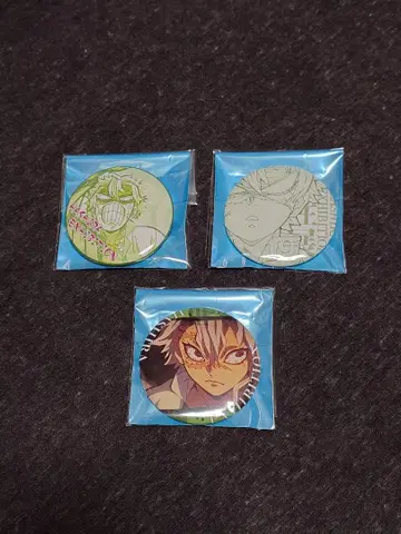 귀멸의 칼날 시나즈가와 사네미 기둥전 기둥백경 에모셔널 캔뱃지