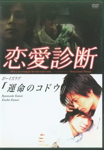 일본 국내 드라마 DVD 연애 진단 BL 운명의 고동