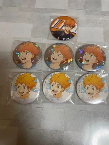 히나타 쇼요 캔뱃지