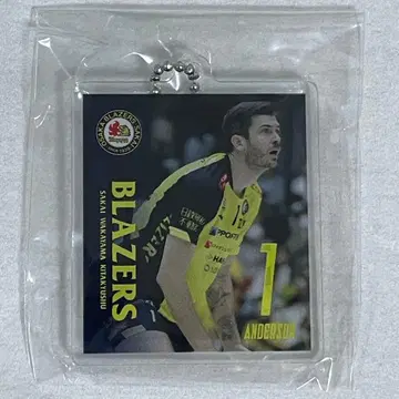 사카이 블레이저스 앤더슨 앤더슨 투성이 가챠 키링