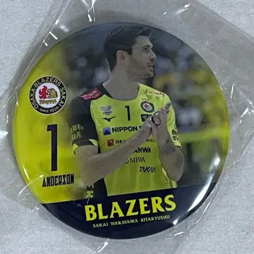 사카이 블레이저스 앤더슨 앤더슨 투성이 가챠 캔 배지