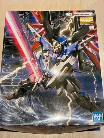 MG 1/100 데스티니 건담