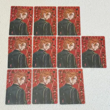 트위스테 브레이징 주얼 오로라 카드 케이트 10장