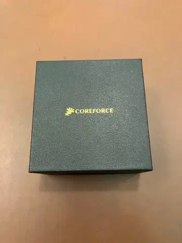 COREFORCE 루프 K14 화이트 골드