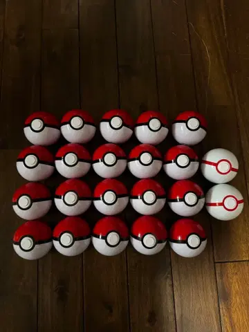 포케파크 간토 핀 배지 핀즈 포켓몬 프리미어 몬스터볼