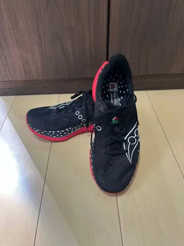 26.0cm 엔돌핀 스피드5 써코니 키스 해링