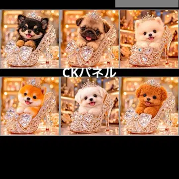 핸드메이드 오더 접수 (포메라니안, 치와와, 퍼그, 말티즈)