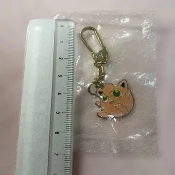 Nintendo 포켓몬 푸딩 키 참