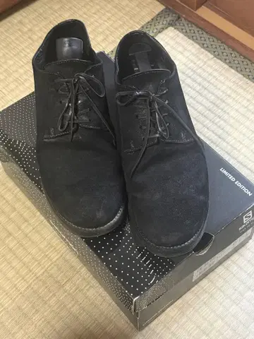 GUIDI 구이디 스웨이드 더비 슈즈