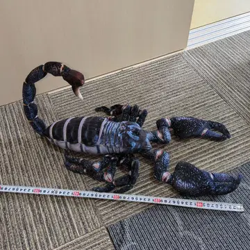 WILD GRAPHY 와일드 그래피 전갈 전갈 봉제 인형 전갈