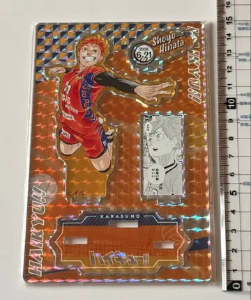 하이큐 히나타 쇼요 생일 명장면 디오라마 피규어 SHINING