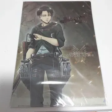 진격의 거인 클리어 파일 리바이