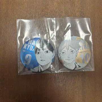 하이큐 팬파크 데콜렉션 캔뱃지 히나타 쇼요 카게야마 토비오