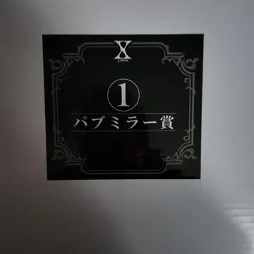 X JAPAN 퍼블릭 미러상 반다나 클리어 파일