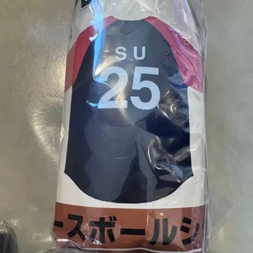 RIP SLYME 베이스볼 셔츠 GiGO 한정판 SU