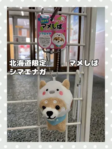 미사용 새상품 홋카이도 한정 마메시바 시마연가