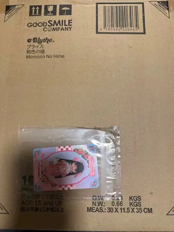 24주년 기념일 네오 브라이스 복숭아색 공주