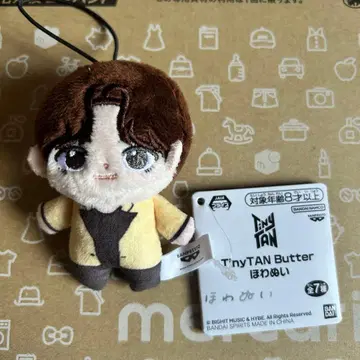 TinyTAN 솜인형 V