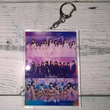 사쿠라자카46 노기자카46 히나타자카46 신참자 아크릴 키링 아크키링