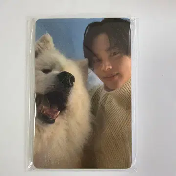 TWS 사모예드 트레이딩 카드 전원 세트 미개봉